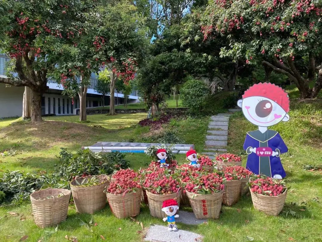 又见荔枝红 | 乐竞平台2020官方毕业歌曲MV来了！